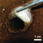 In situ burrow